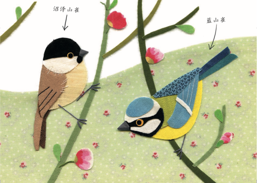 亲近春天|请收好这份踏青指导手册