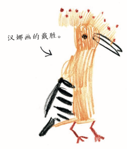 亲近春天|请收好这份踏青指导手册