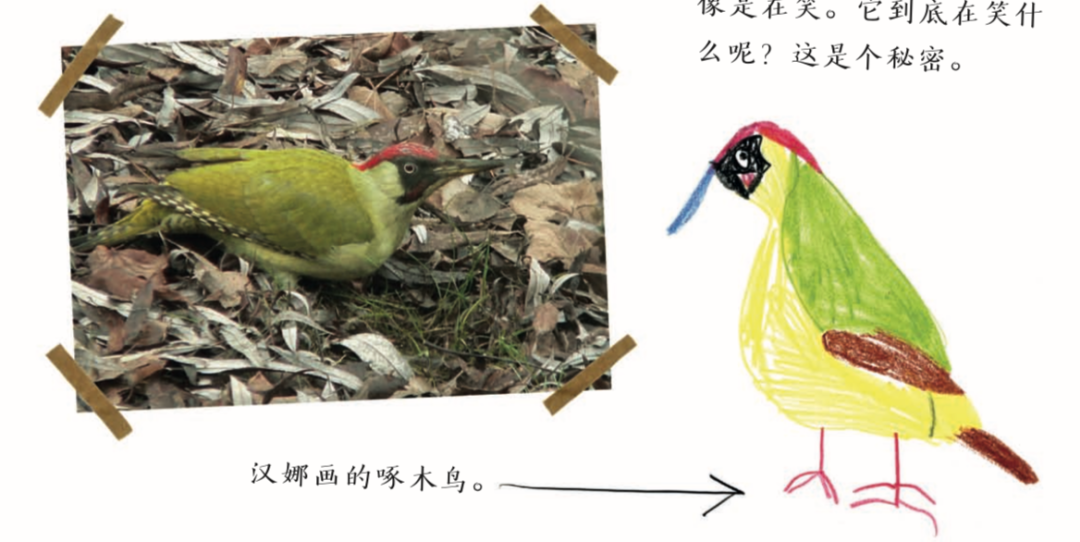 亲近春天|请收好这份踏青指导手册