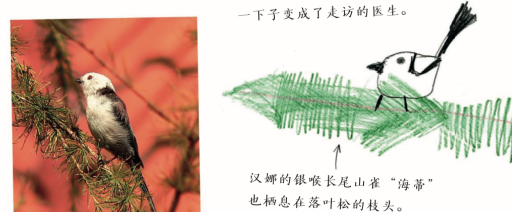 亲近春天|请收好这份踏青指导手册