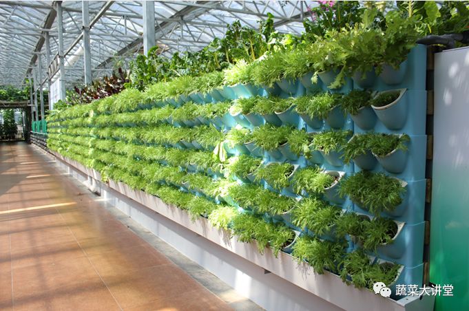 第四届中国高级生态农业技术和无土栽培培训班 中农资讯网