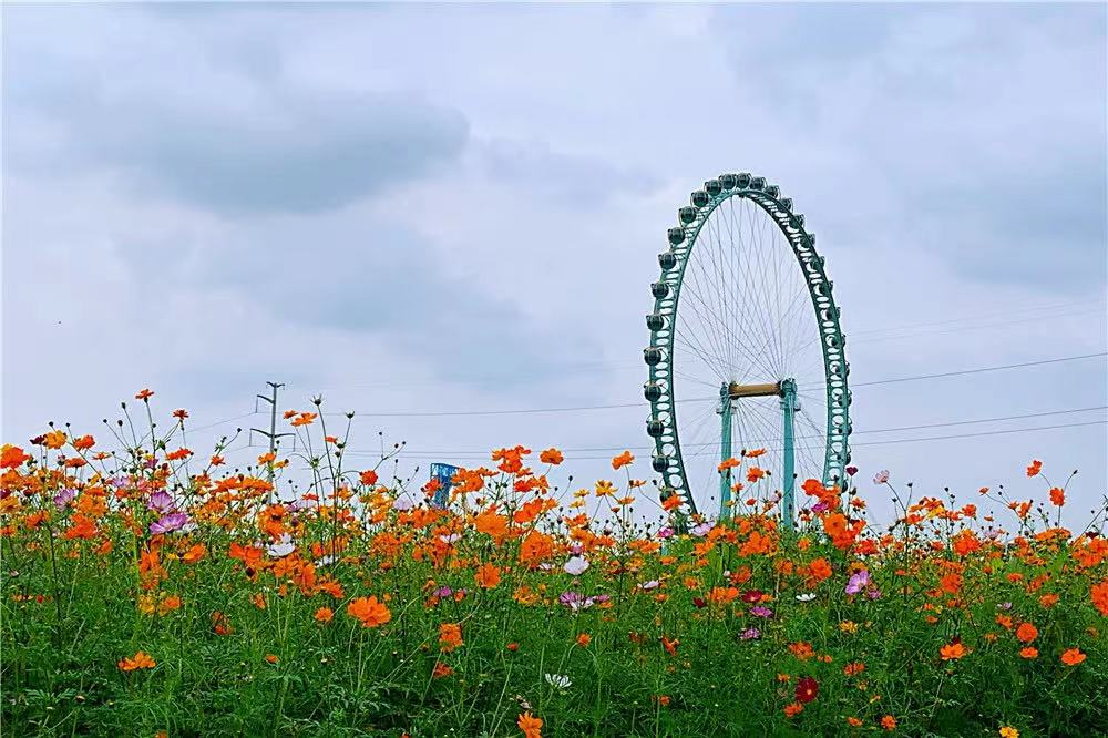 微信图片_20230619180214.jpg