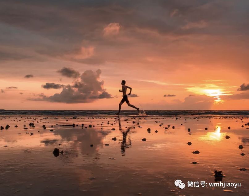 津桥推文旅教育项目 构建“国际教育生态系统”(图5)