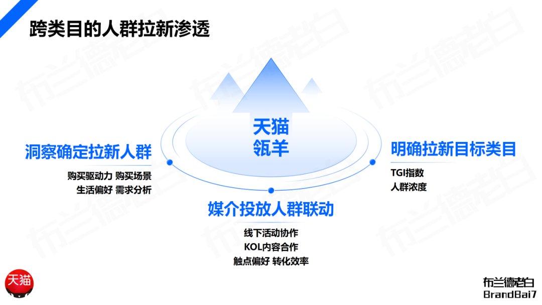 品牌全域人群資產增長飛輪