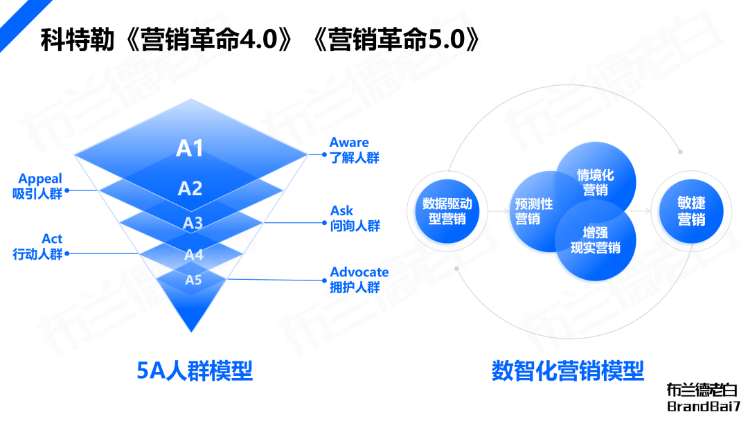品牌全域人群資產增長飛輪