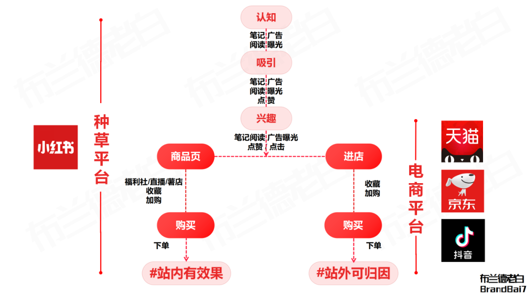 小紅書人本營銷