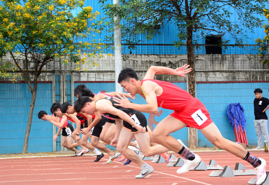 禅城学子打破12项区中小学田径运动会纪录