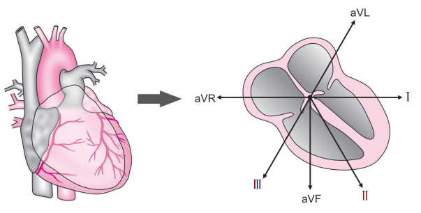 心电图怎么切换导联你了解过心电图导联吗？_https://www.jmylbn.com_新闻资讯_第10张