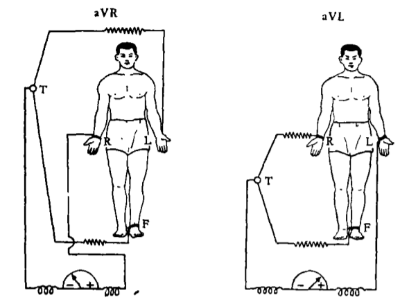 心电图怎么切换导联你了解过心电图导联吗？_https://www.jmylbn.com_新闻资讯_第6张