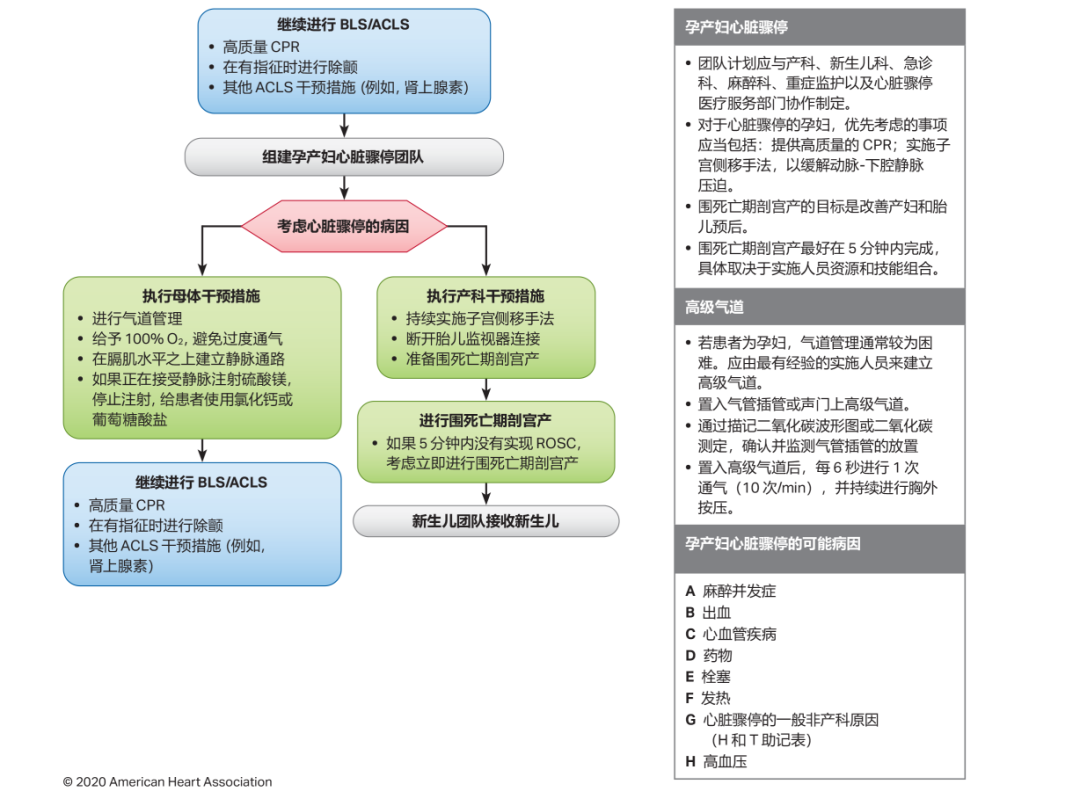 干货 aha心肺复苏指南更新要点 现代护理报 微信公众号文章阅读 Wemp