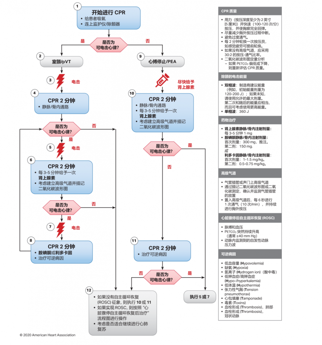 监护仪怎么使用早读 ｜ 除颤仪该如何正确使用？_https://www.jmylbn.com_新闻资讯_第12张