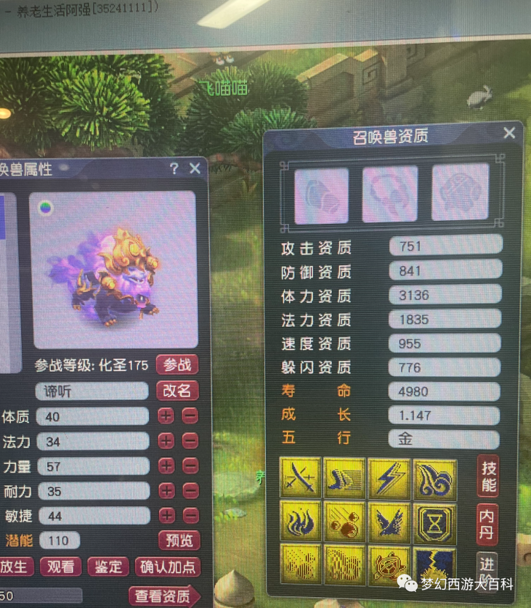 我要上电视天龙破城果然是永远的神造型迎来超级优化