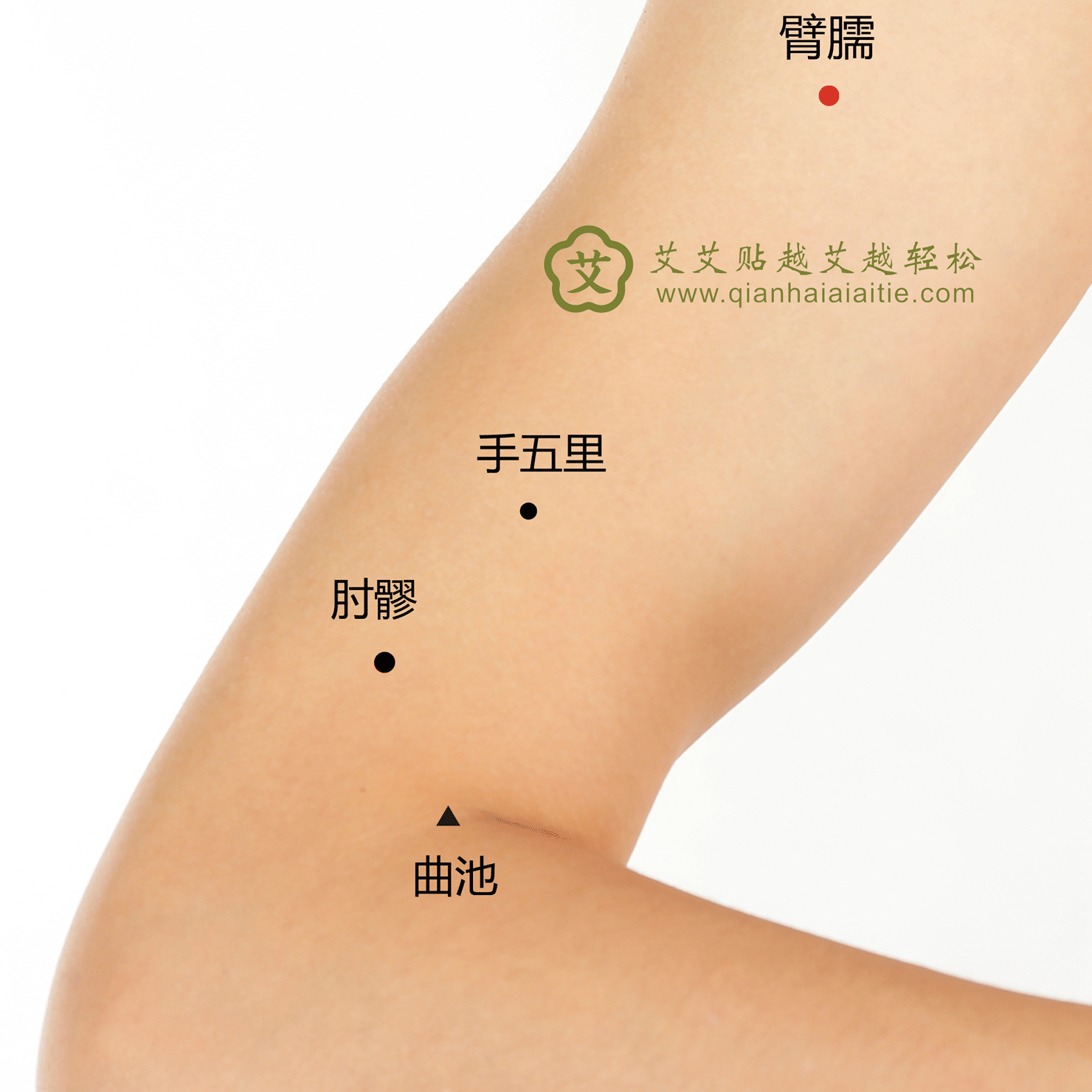 艾艾贴穴位:臂臑穴:肩臂痛,颈项拘挛,目疾 - 艾灸穴位 - 新闻中心