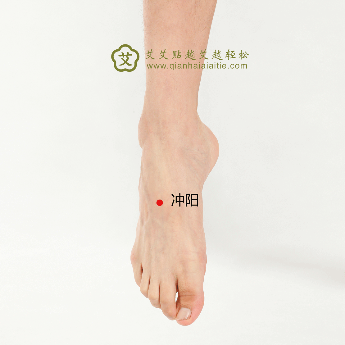 艾艾贴官网-冲阳穴:和胃化痰,通络宁神 - 艾灸穴位 - 新闻中心 - 艾艾