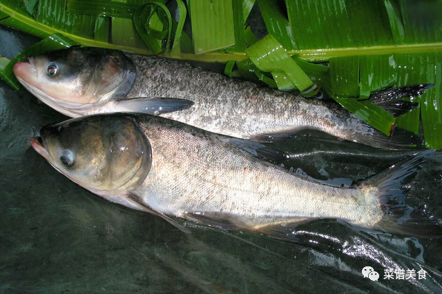 剁椒鱼头的正宗做法，直接上锅蒸不对！多做3步才好吃