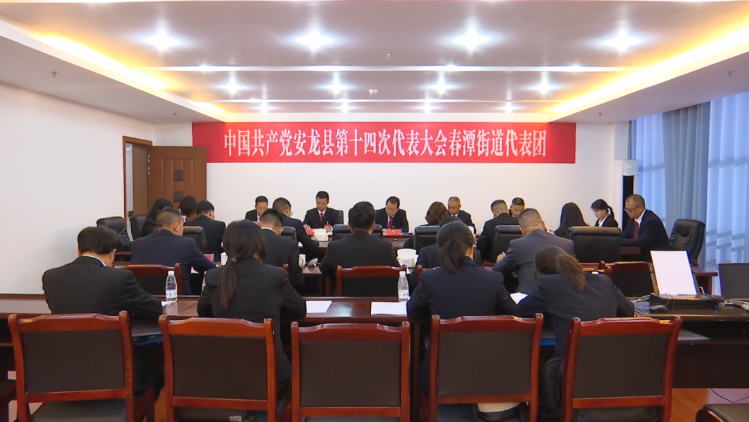 吴立社参加县第十四次党代会春潭街道代表团讨论