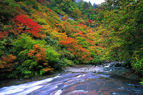 看国家水网四个层级如何互联互通？的图3