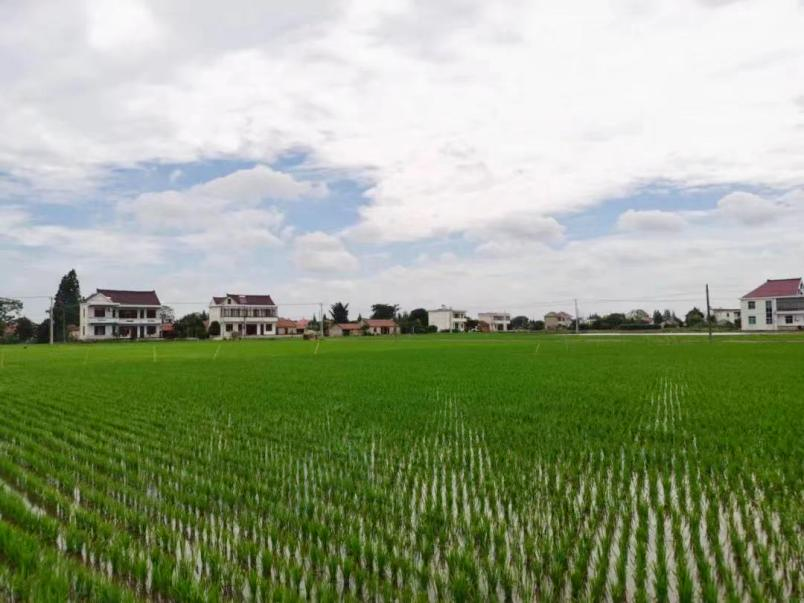 什么是干旱，如何分類？