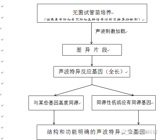 软件技术路线怎么写_如何写技术路线_餐饮废油 技术路线