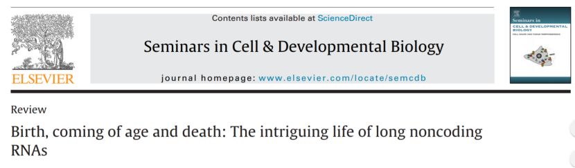 Nexuscience 第5 页 子夜星河