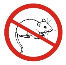 氨基酸分析仪长期停机的维护与保养 —— 暑假安心指南请查收