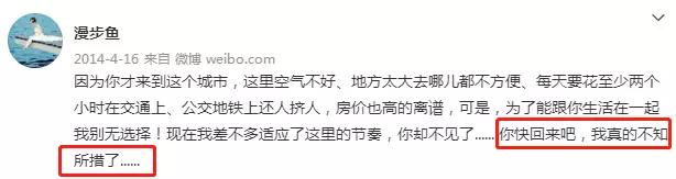 馬航重大進展！機長疑故意墜機？遇難者家屬的現狀，令人淚目…