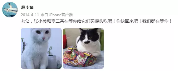 馬航重大進展！機長疑故意墜機？遇難者家屬的現狀，令人淚目…