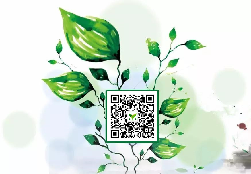 蔬菜沙拉怎么做的
