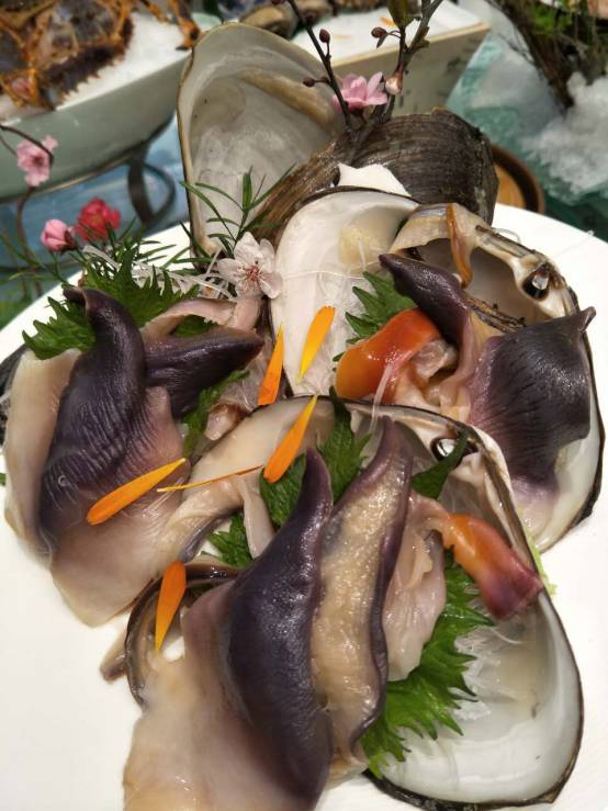 深海马贝
