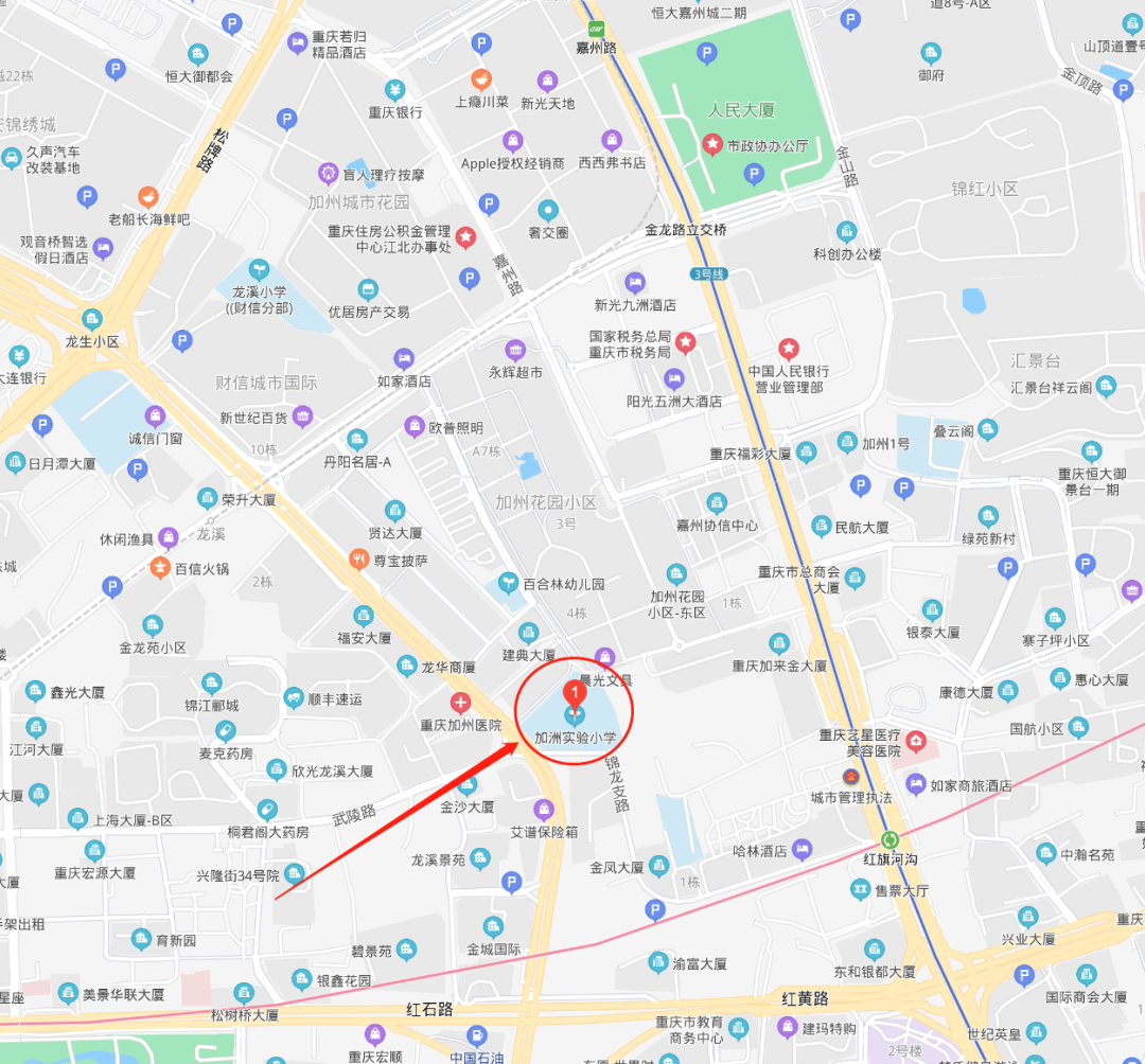 重庆市2024年普通高校招生咨询信访电话、时间及地点→