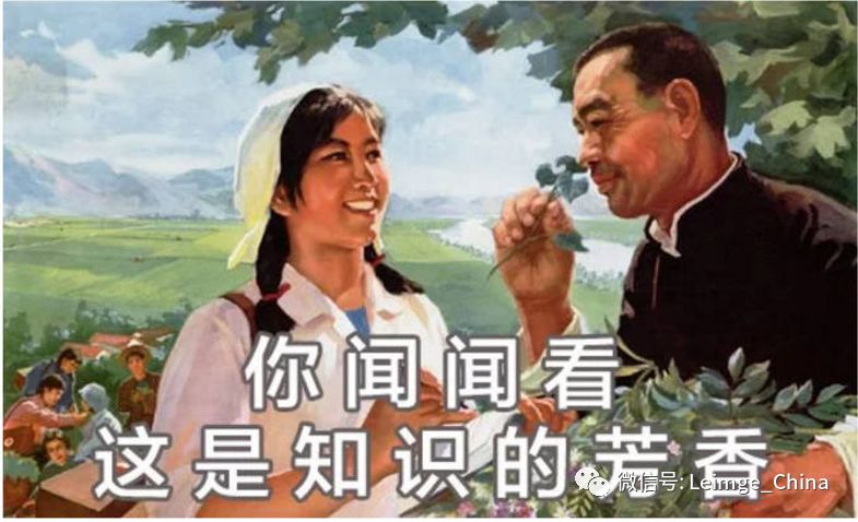 蓝致乐器 祝广大莘莘学子努力拼搏，考个喜欢的大学！插图1蓝致乐器产品资料