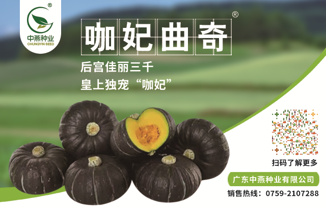 致富农业项目_农业致富经_致富农业节目