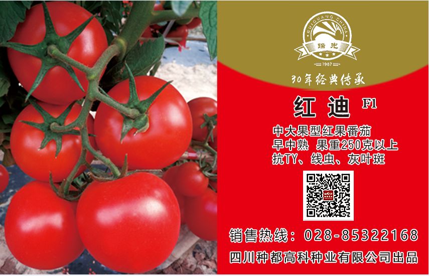 农业致富经_致富农业项目_致富农业节目