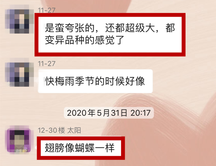 木地板殺蟲劑哪個好_天擎殺蟲煙劑_殺蟲粉能不能殺蛀木蟲