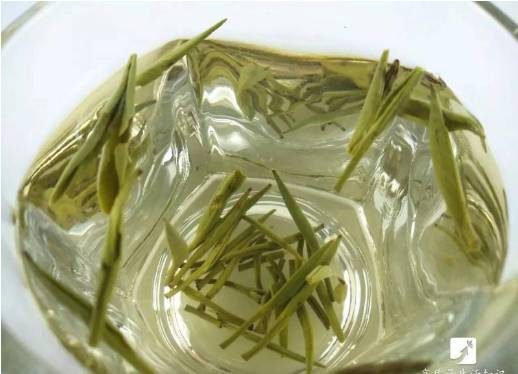 绿茶红茶白茶黄茶青茶黑茶,这6种茶的特点你都懂吗?(乐雅轩养生堂)