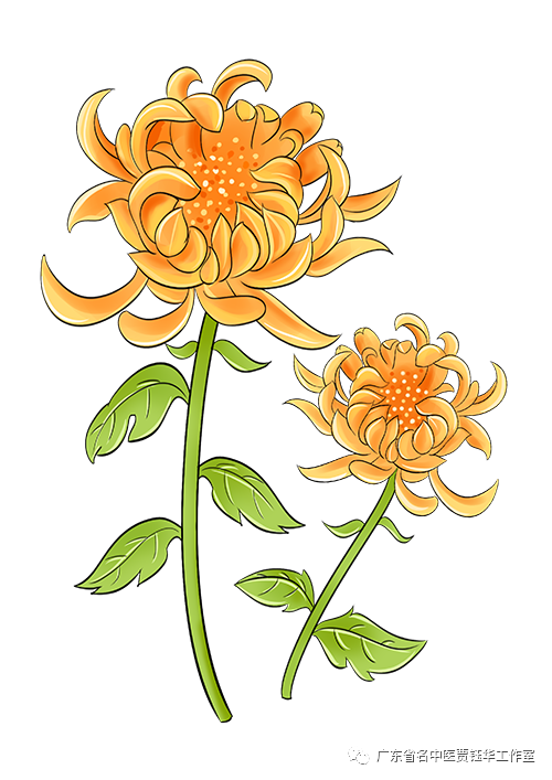 脑梗就是阳气不足了，把阳气补足血管自然通畅，一个方子帮你打通血管！