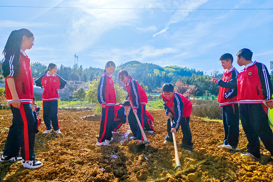 【教育之窗】田间劳动课 实践促成长