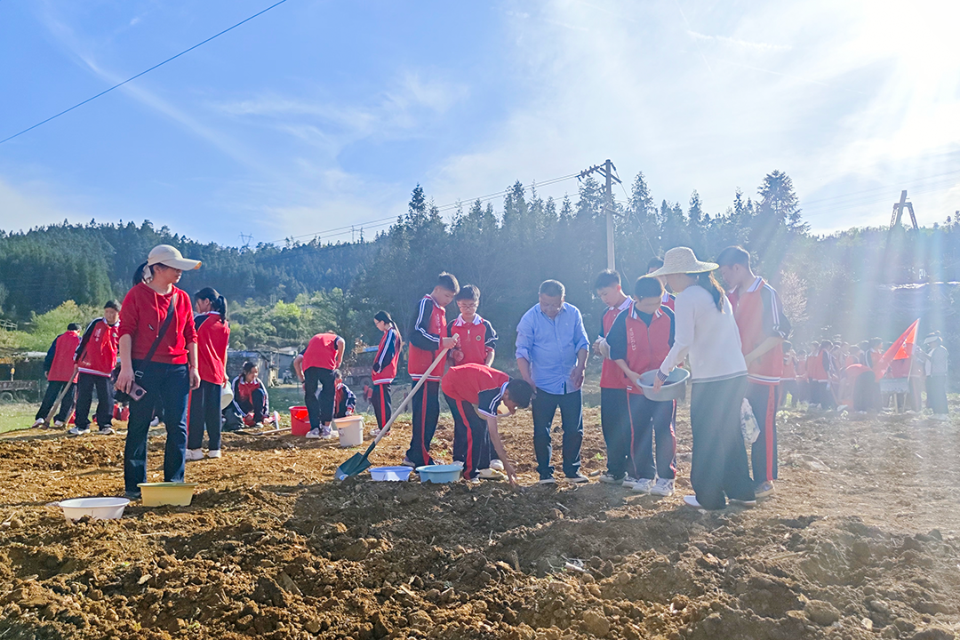【教育之窗】田间劳动课 实践促成长