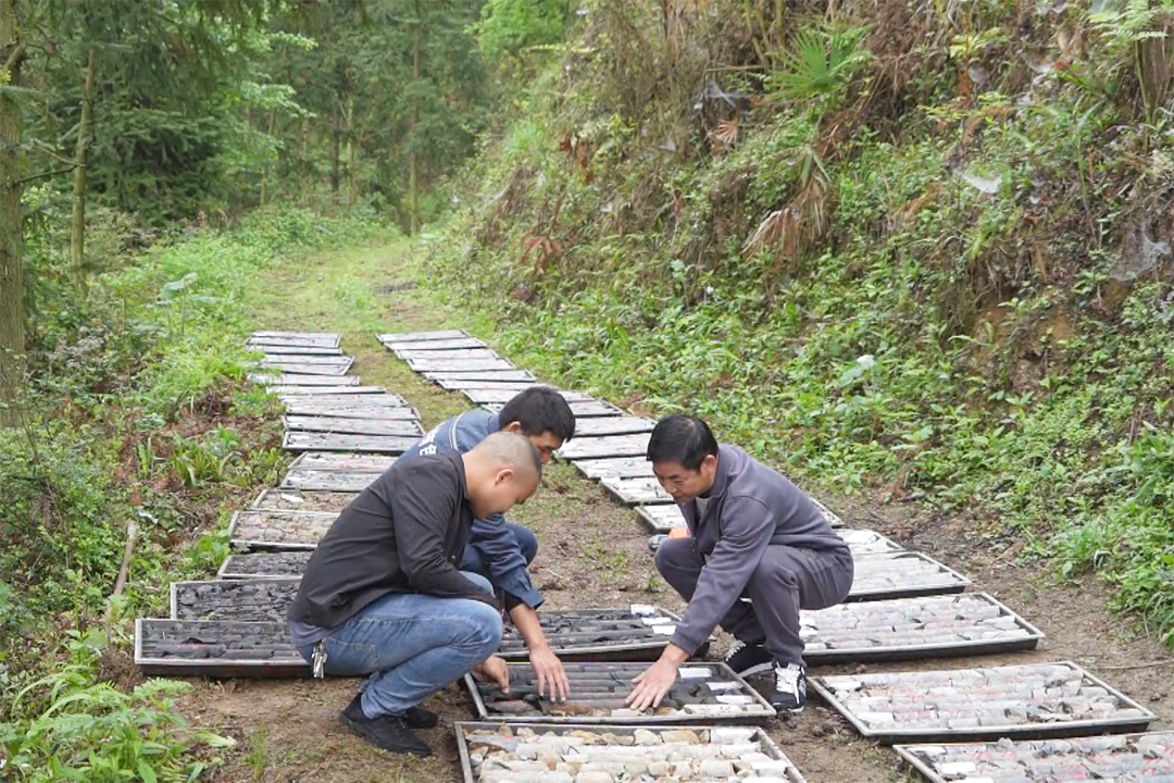 福泉:精查探矿 精心选矿 让"呆矿"变富矿