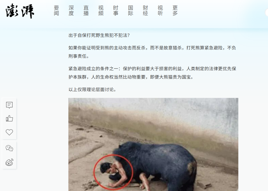 黑熊闯进超市咬90岁老人被击毙