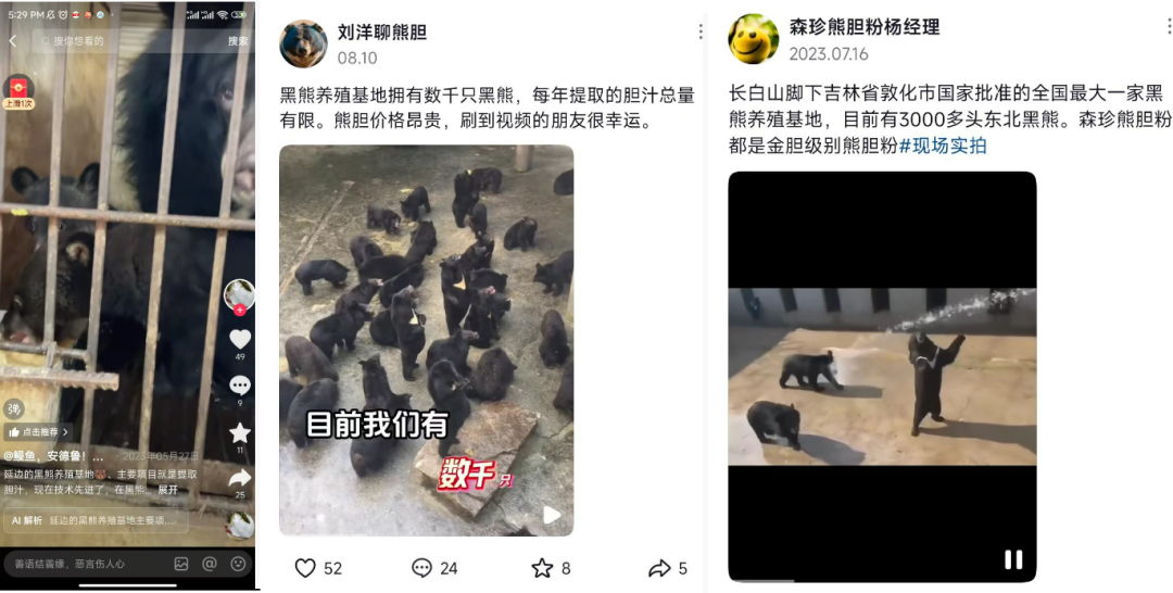 黑熊闯进超市咬90岁老人被击毙