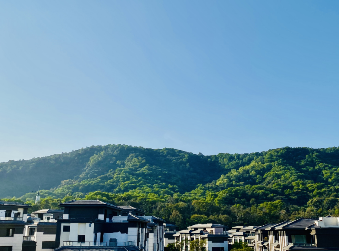 没想到！2022大平层涨价17%，竟然还卖疯了...