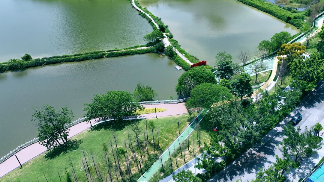 白云金沙洲越秀天悦金沙*加推140、160㎡大平墅！