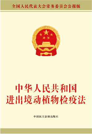 9.png