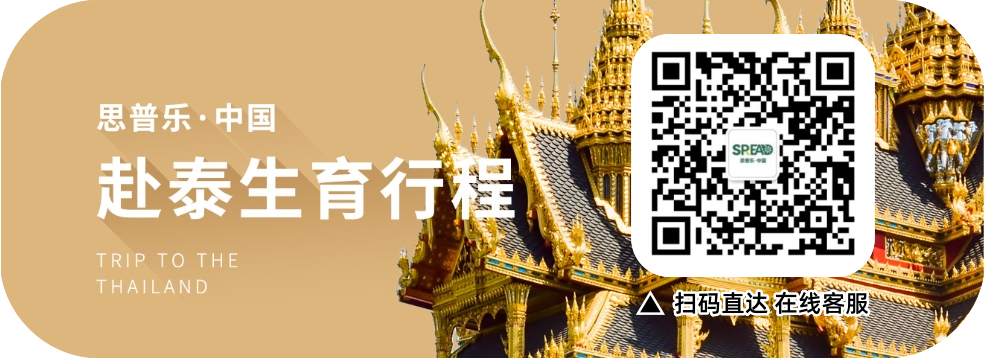 在泰国做试管婴儿，教你如何选对医院？建议收藏！