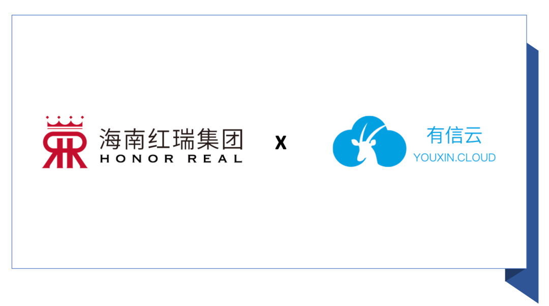 海南红瑞,有信云,门店管理系统