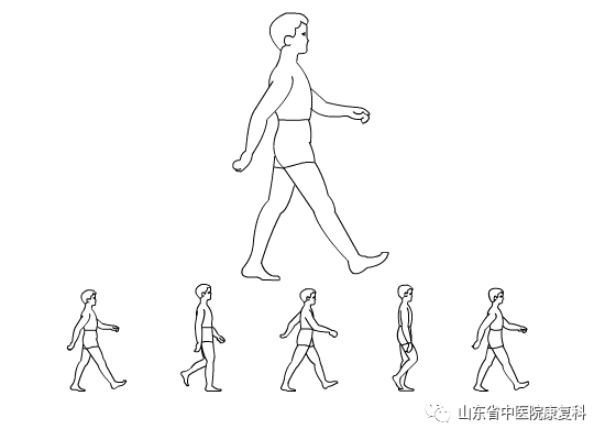步态分析上曲线怎么解读康复医学中的步态分析_https://www.jmylbn.com_新闻资讯_第2张