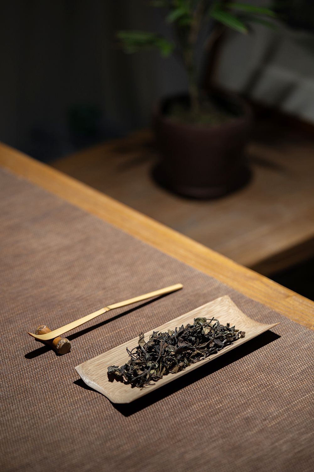 茶之所以如此迷人，是对人的滋养