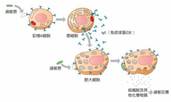 一杯芒果汁，差點要了7歲女孩兒的命，這種疾病 ，家長千萬不能掉以輕心 親子 第3張