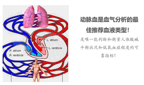 沃芬血气怎么样血气市场大盘点！雷度、罗氏、雅培、理邦、万孚~_https://www.jmylbn.com_新闻资讯_第20张